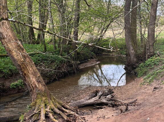 22-04-15 11-53-10 0482